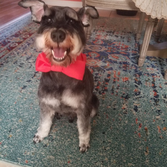 are you having your best day possible? - Picture 11 of 15